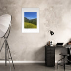 High-quality framed art print of Malibu Canyon spring wildflowers, California poster art by My Store, showcasing vibrant natural scenery.