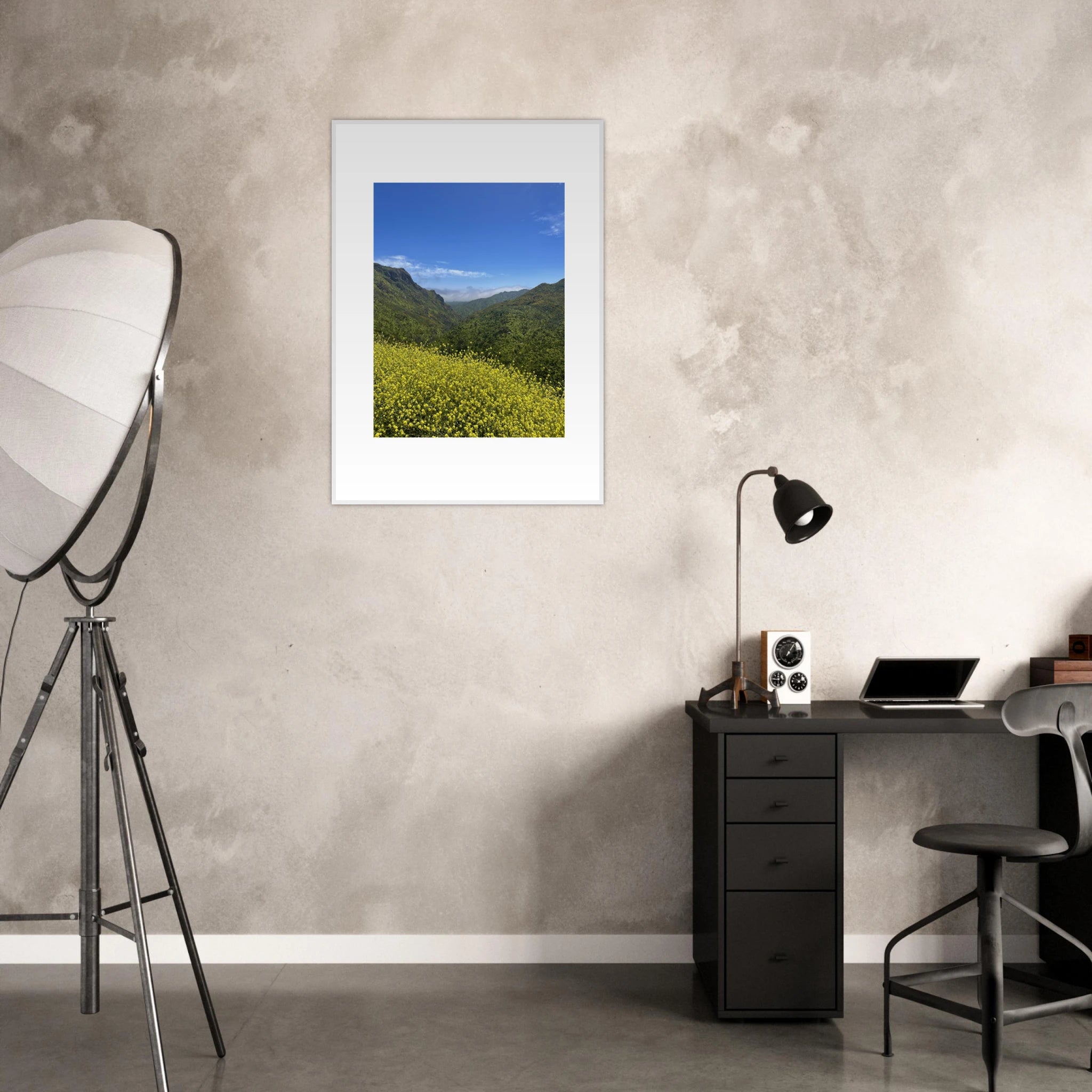 High-quality framed art print of Malibu Canyon spring wildflowers, California poster art by My Store, showcasing vibrant natural scenery.