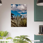 Oaxaca Desert canvas artwork featuring mezcal plantation, part of the Spring '26 travel collection by Studio Edition.