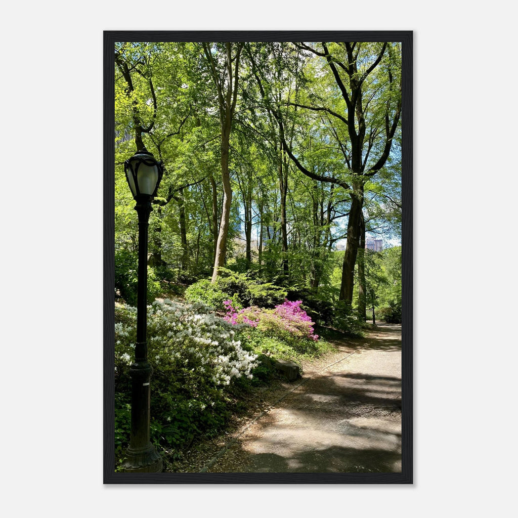 Central Park walkway framed art print on premium matte paper with wooden frame, part of the Studio Edition travel collection.