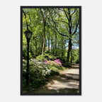 Central Park walkway framed art print on premium matte paper with wooden frame, part of the Studio Edition travel collection.