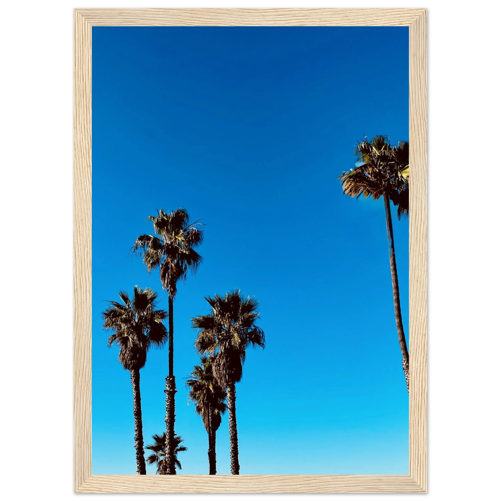 Wooden framed Santa Barbara Palm Tree poster by CaliCuration, California home decor art in semi-glossy paper, Spring '26 studio edition