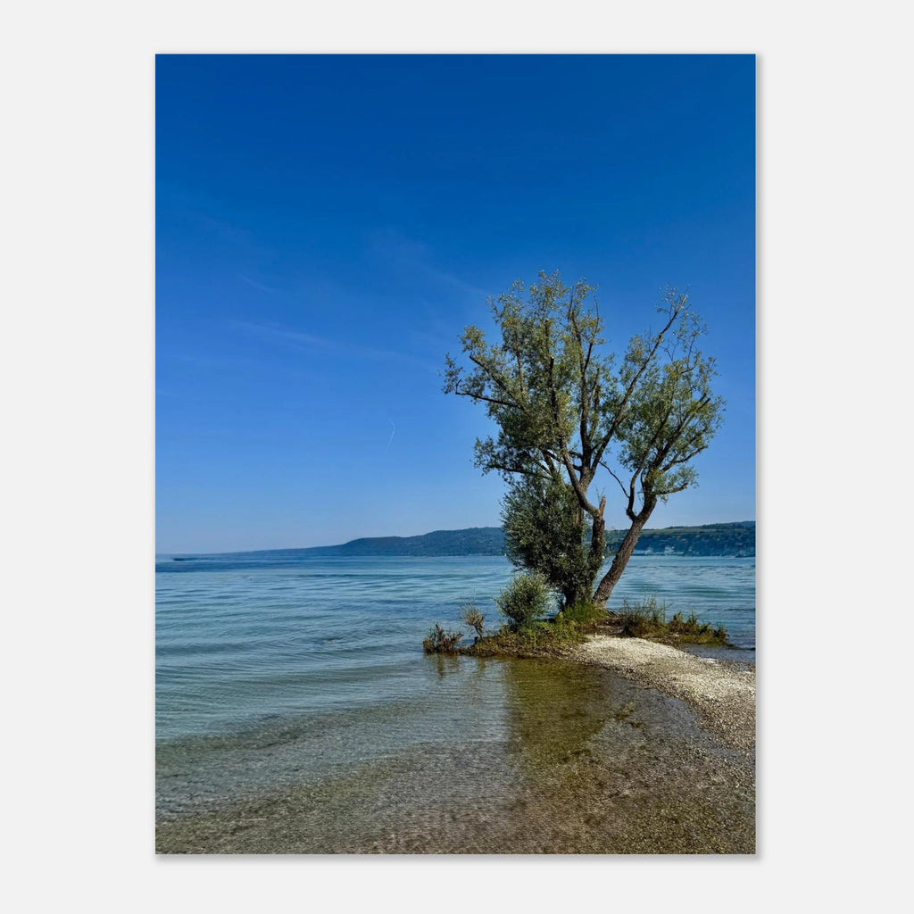 European lake scene aluminum print featuring a majestic tree, part of the Nature-Inspired Wall Art Travel Collection, studio edition.