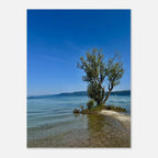 European lake scene aluminum print featuring a majestic tree, part of the Nature-Inspired Wall Art Travel Collection, studio edition.