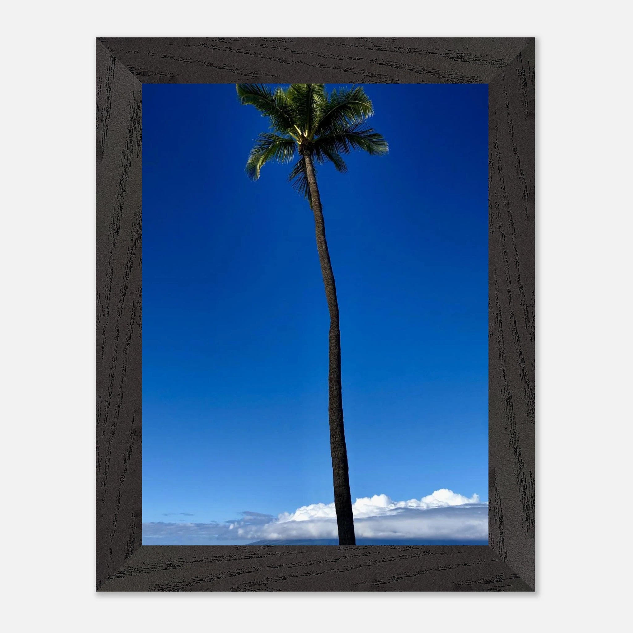 Hawaii Majestic Palm Tree Maui framed poster from CaliCuration's travel collection, showcasing a scenic tropical landscape print.