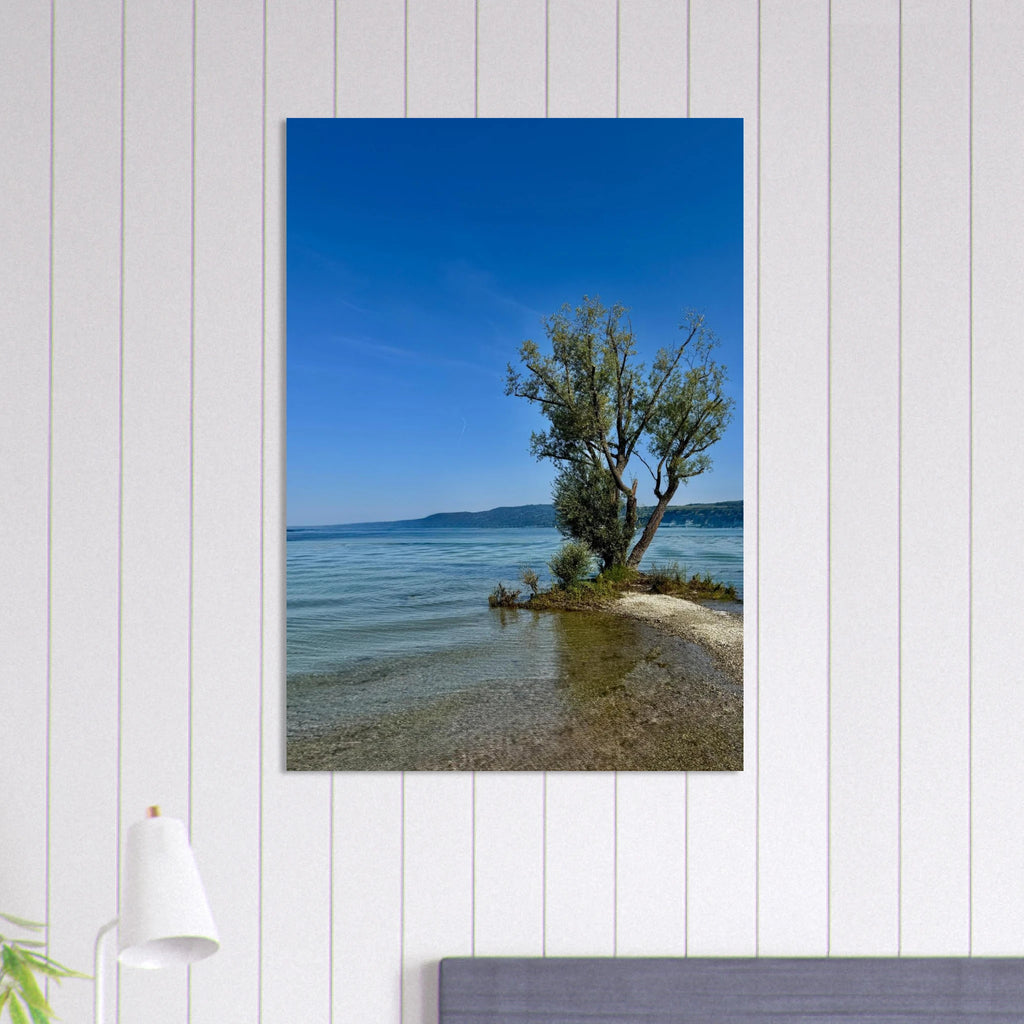 Aluminum print of a majestic tree on a European lake, nature-inspired wall art from the Travel Collection by My Store.