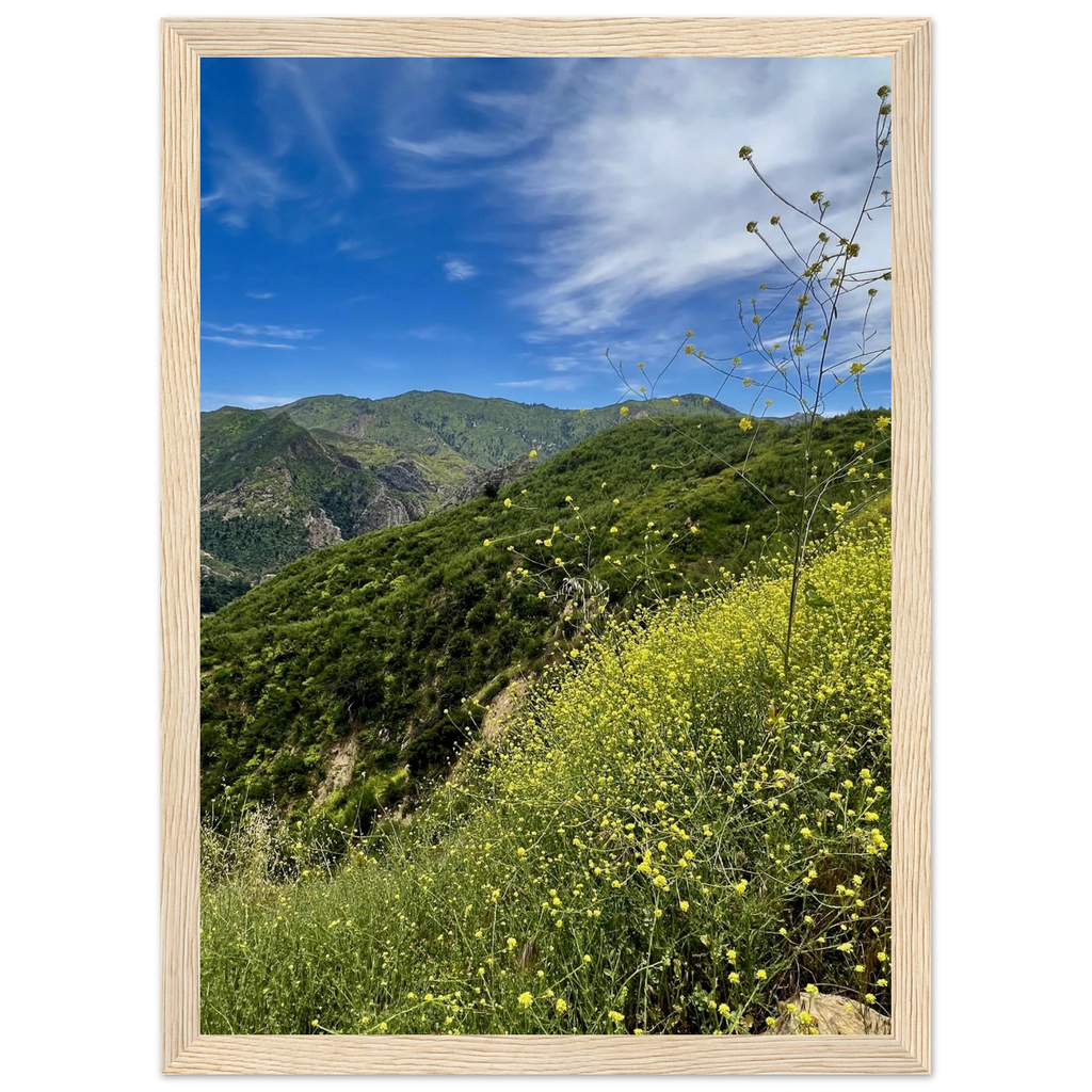 Wooden framed Malibu Canyon Wildflowers poster on museum-quality matte paper wall art, showcasing California wildflower scene.