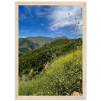 Wooden framed Malibu Canyon Wildflowers poster on museum-quality matte paper wall art, showcasing California wildflower scene.