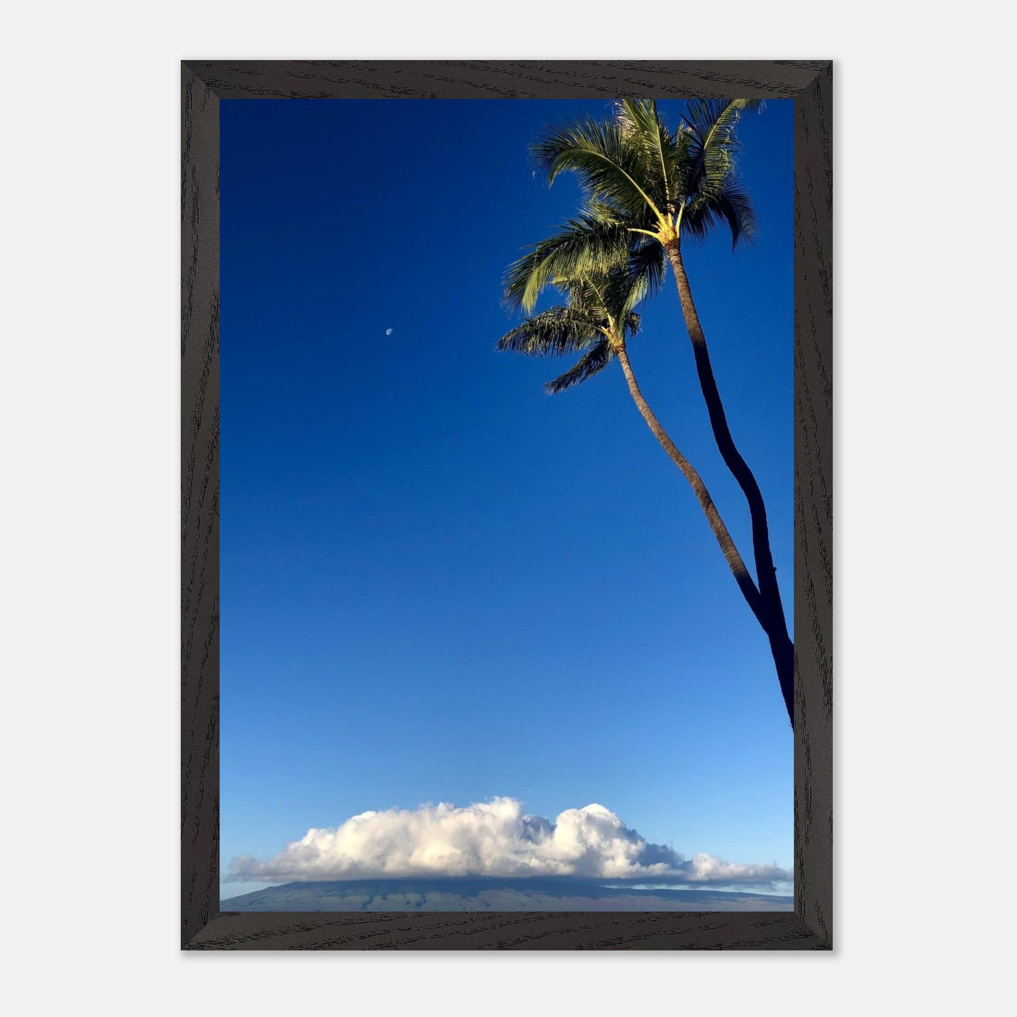 2868c769-e39b-426b-a17f-466fed5bb5e2