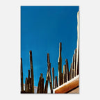 Mexico cactus family rooftop canvas artwork print from the Travel Collection Studio Edition Spring 2026, showcasing vibrant desert plants.