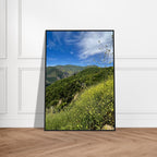 Malibu Canyon Wildflowers wooden framed poster on museum-quality matte paper wall art, showcasing California wildflower scene.