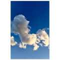 2a7b48c6-0496-43f4-934f-969fd818f8eb