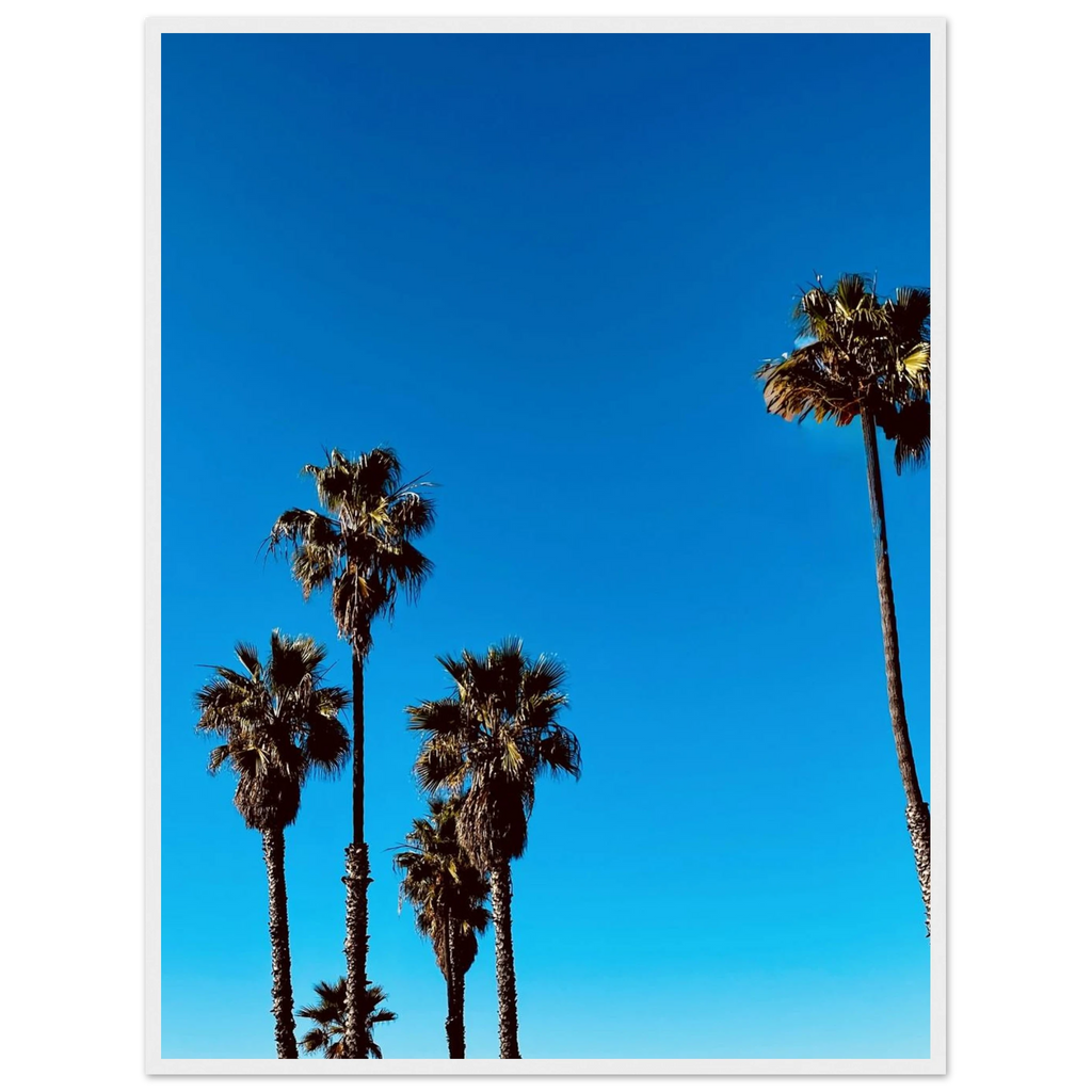 Santa Barbara Palm Tree California poster art on wooden framed premium semi-glossy paper, home decor by CaliCuration, Studio Edition Spring '26