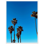 Santa Barbara Palm Tree California poster art on wooden framed premium semi-glossy paper, home decor by CaliCuration, Studio Edition Spring '26