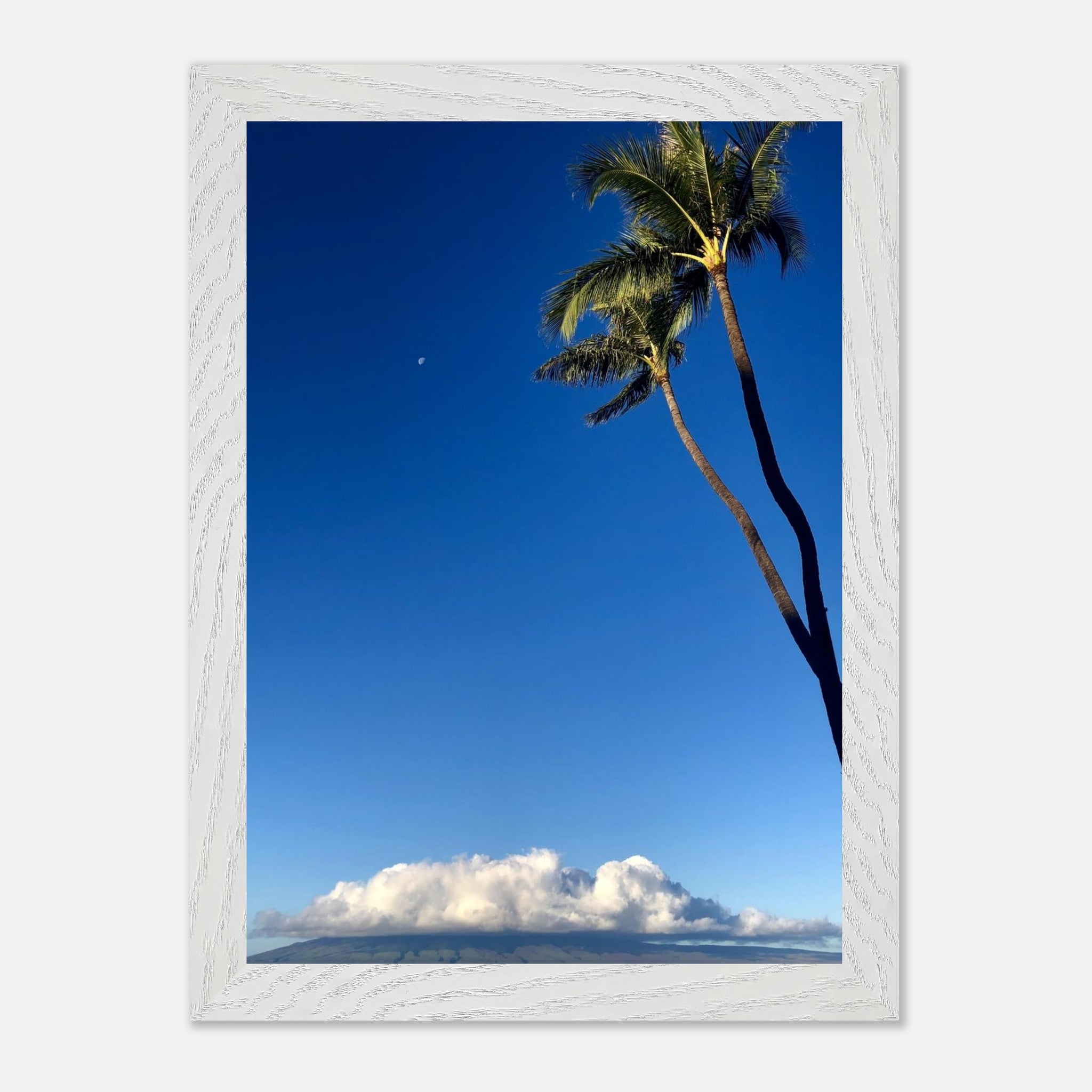 2ca2e045-219e-4c21-baa2-f298cf08e75b