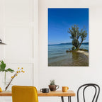 Aluminum print of a majestic tree on a European lake, part of the Nature-Inspired Wall Art Travel Collection, studio edition.