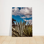 Oaxaca Desert canvas artwork featuring mezcal plantation, part of the travel collection by Studio Edition.