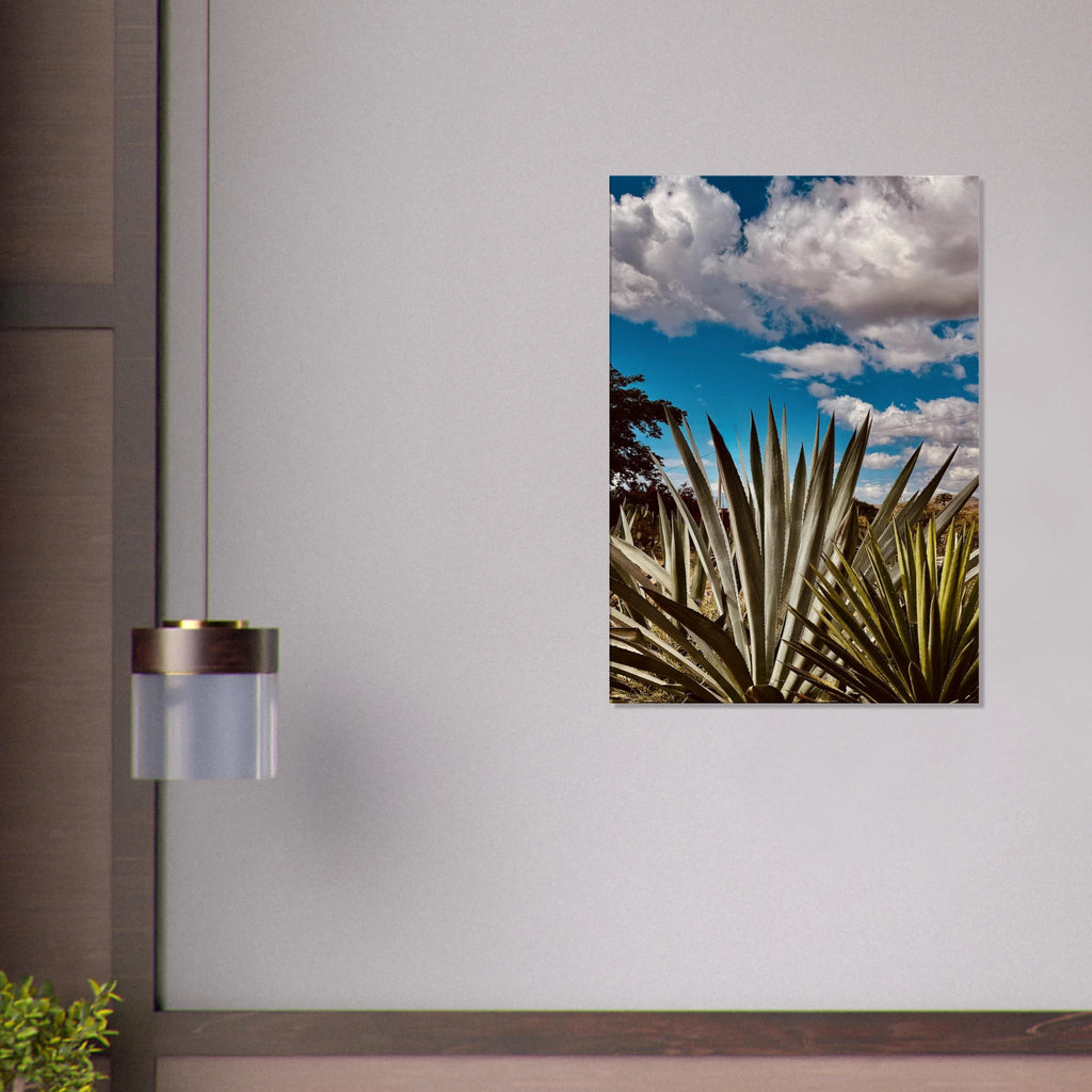 Oaxaca Desert canvas artwork featuring mezcal plantation in vibrant colors, part of the Spring' 26 travel collection.
