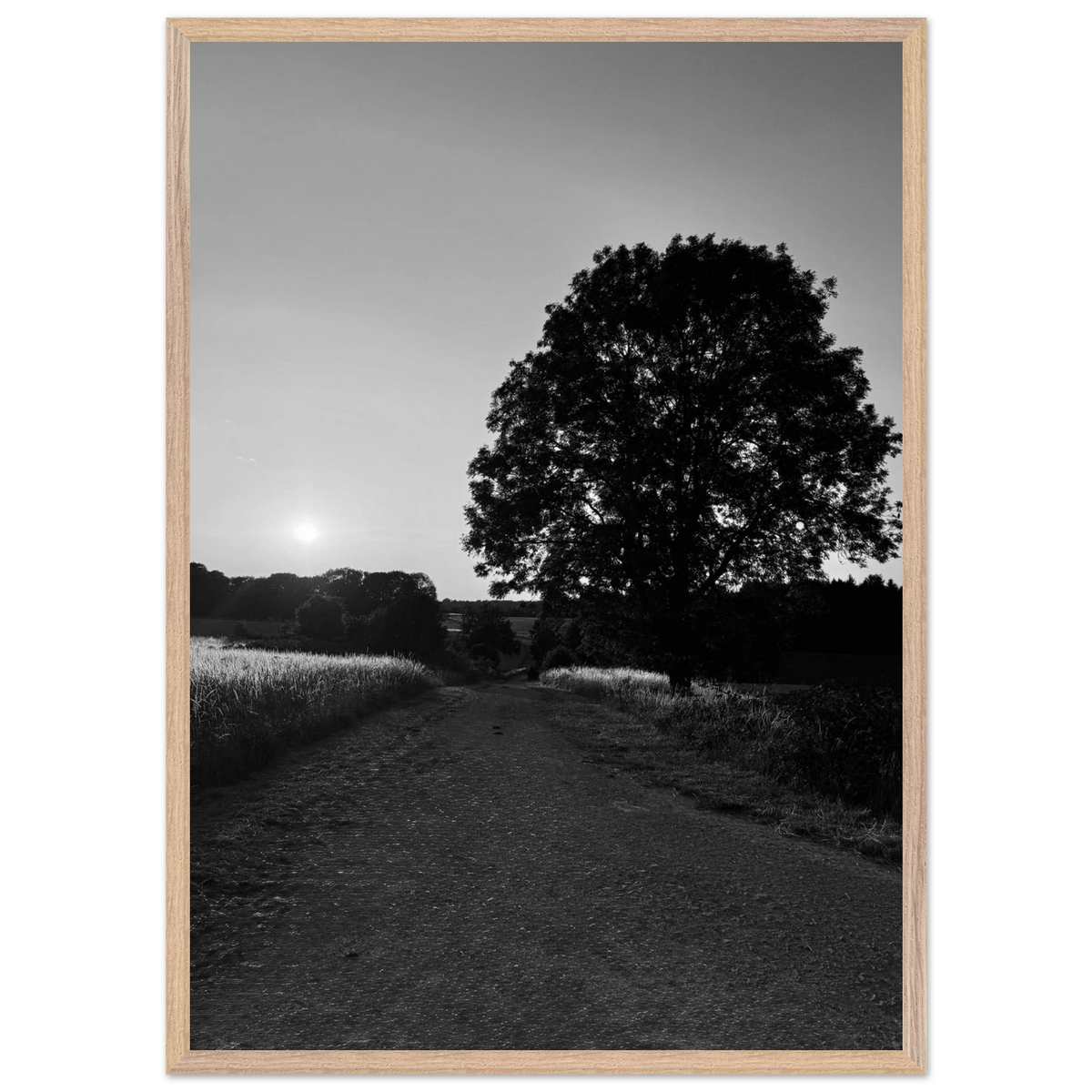 2ebdadf2-13ed-4367-8a17-c0b4b8785b35