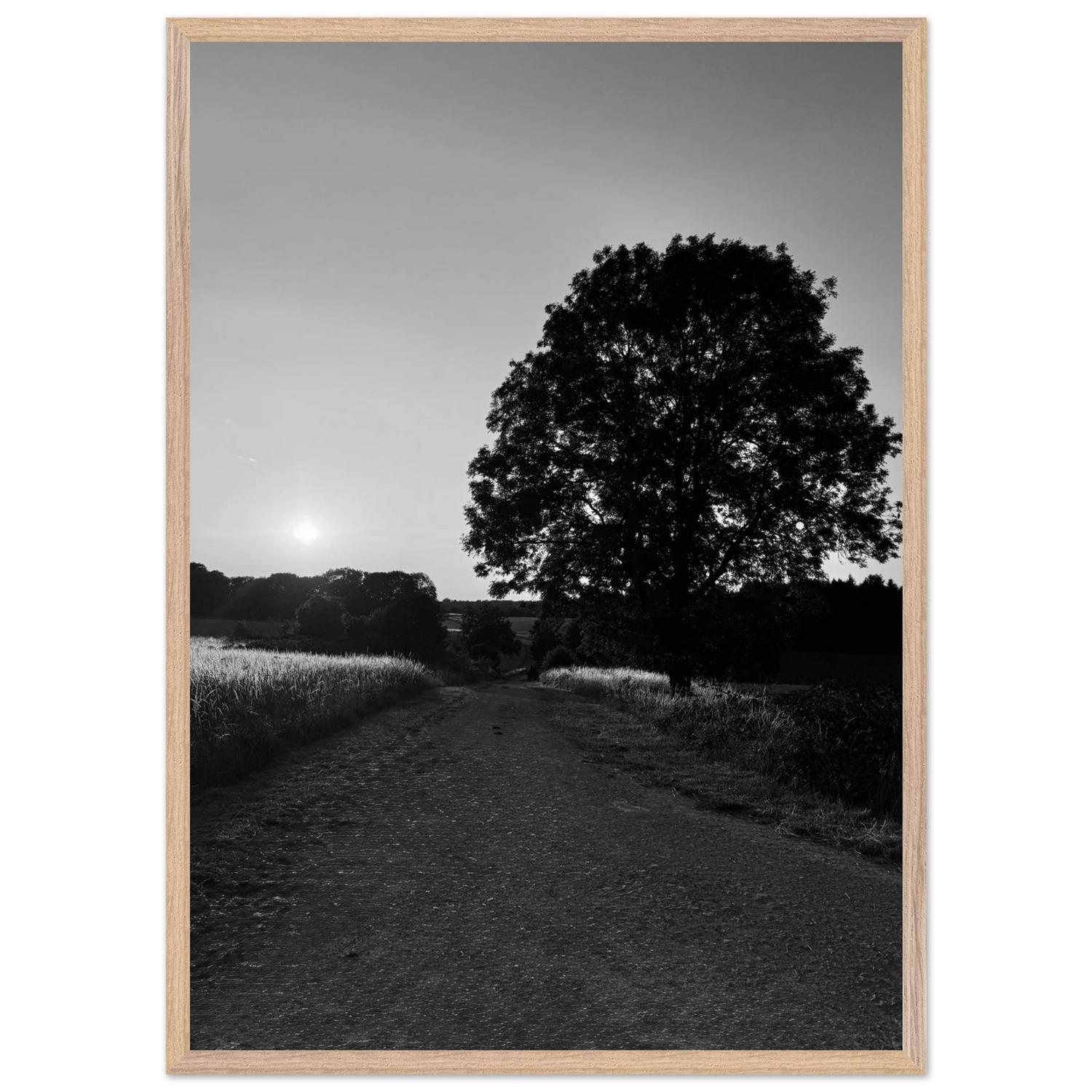 2ebdadf2-13ed-4367-8a17-c0b4b8785b35