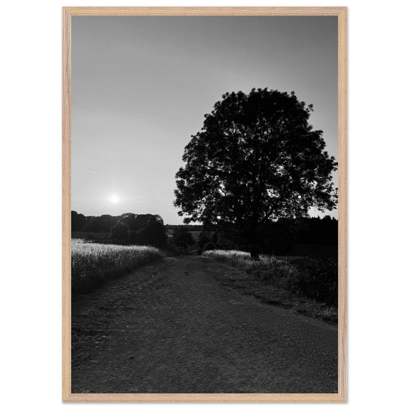 2ebdadf2-13ed-4367-8a17-c0b4b8785b35