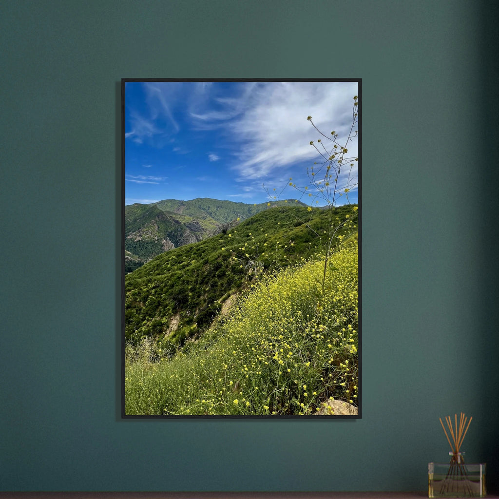Malibu Canyon Wildflowers wooden framed poster on museum-quality matte paper wall art showcasing California nature scene.