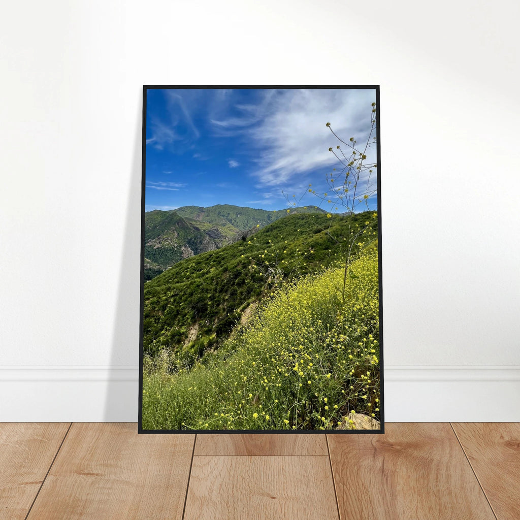 Malibu Canyon Wildflowers wooden framed poster on museum-quality matte paper wall art, featuring California wildflower scene.