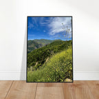 Malibu Canyon Wildflowers wooden framed poster on museum-quality matte paper wall art, featuring California wildflower scene.