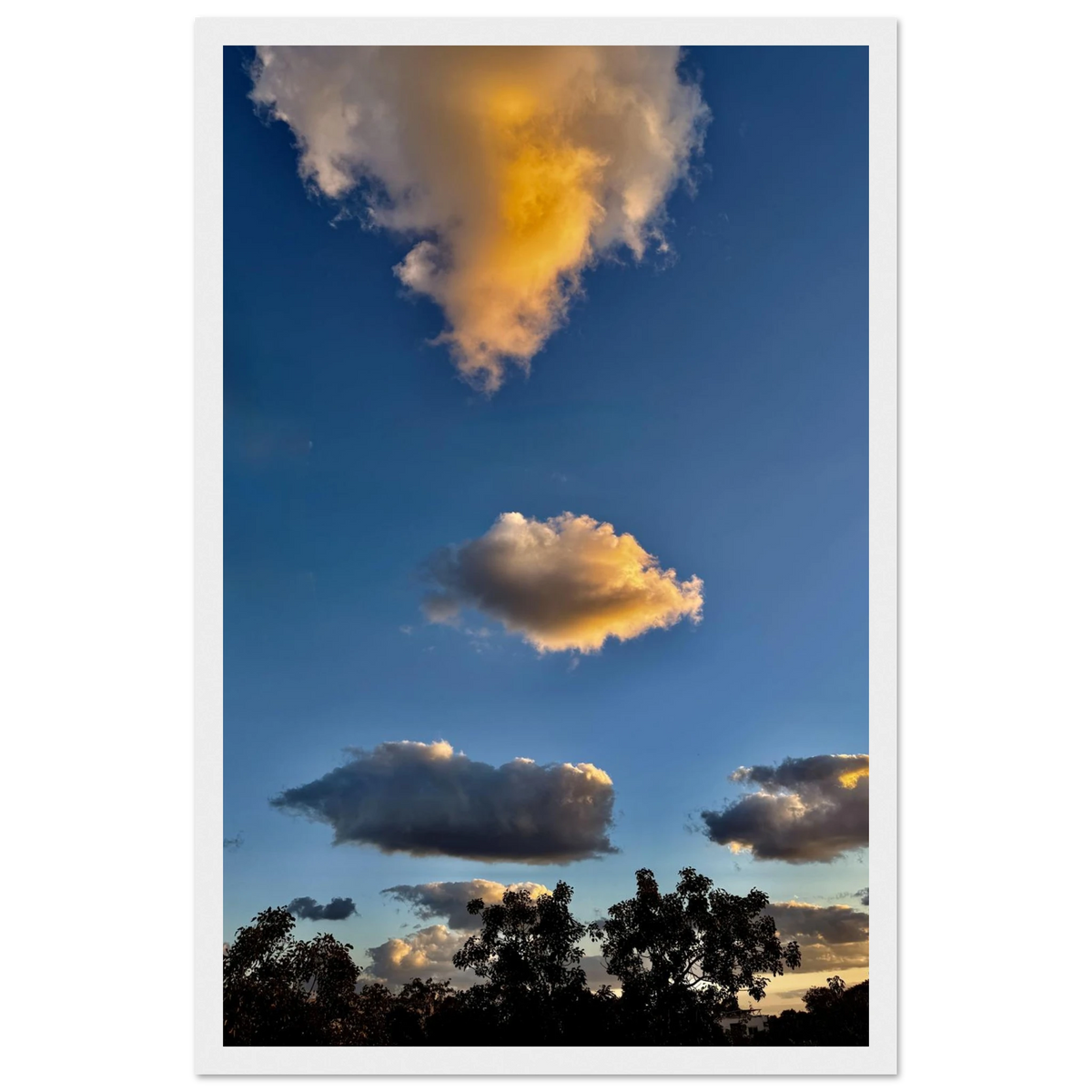31c61398-a2bf-4f3b-ad06-888124dd98b7