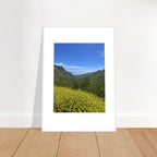 High-quality framed art print of Malibu Canyon spring wildflowers, California poster art by My Store, studio edition.