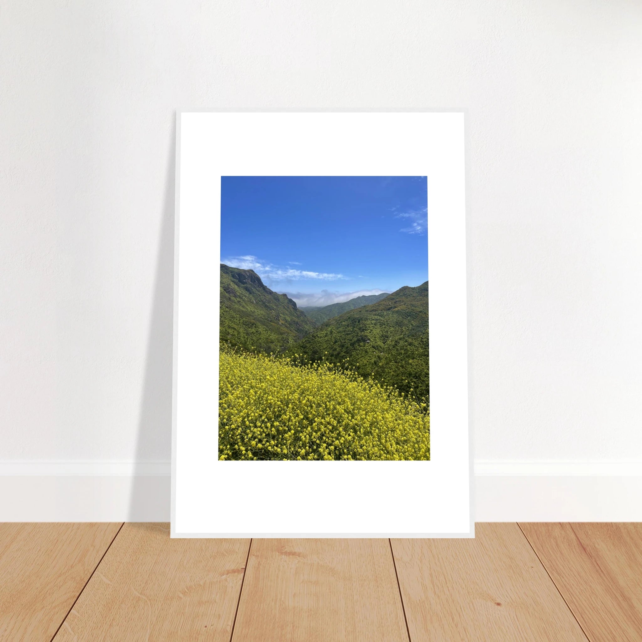 High-quality framed art print of Malibu Canyon spring wildflowers, California poster art by My Store, studio edition.