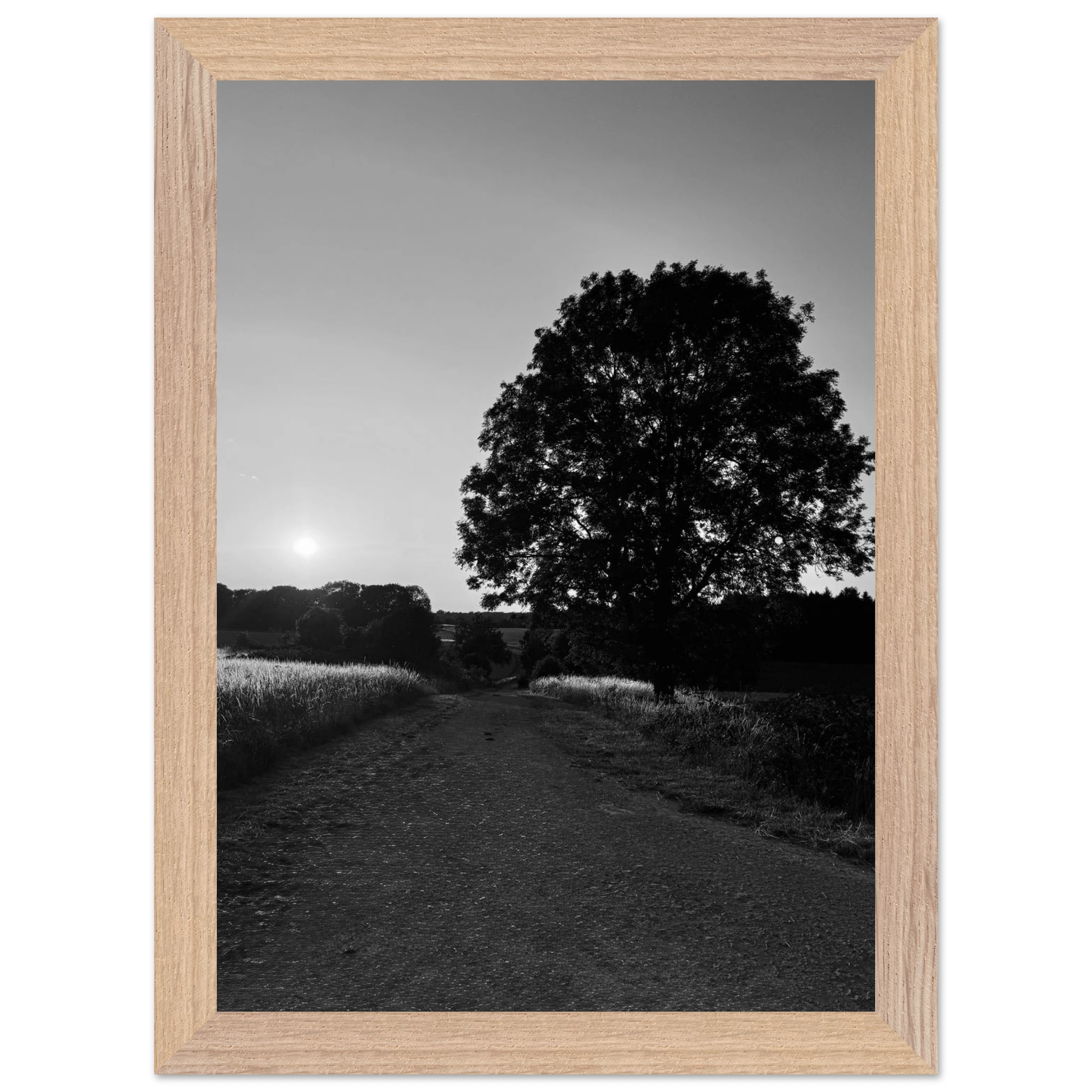 Mounted wooden framed poster of a summer scene in the English Cotswolds, black and white travel print from My Store's holiday series.