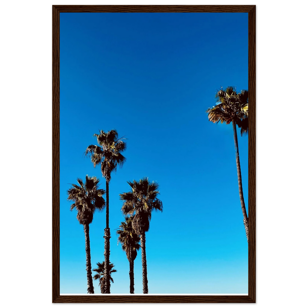 Wooden framed Santa Barbara Palm Tree poster by CaliCuration, featuring California-inspired spring 2026 studio art on semi-glossy paper.