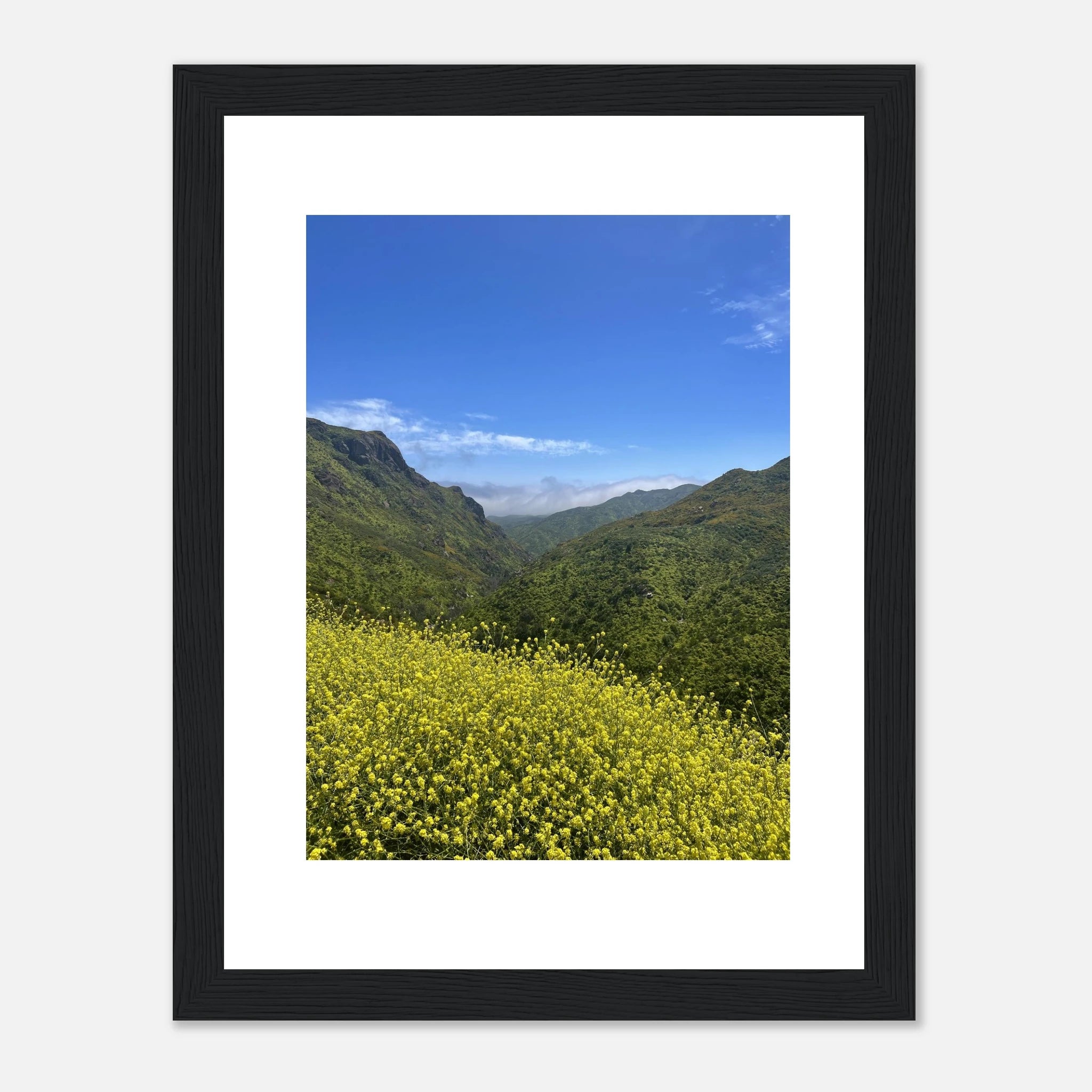 High-quality framed art print of Malibu Canyon spring wildflowers in California, showcasing vibrant colors and natural scenery.