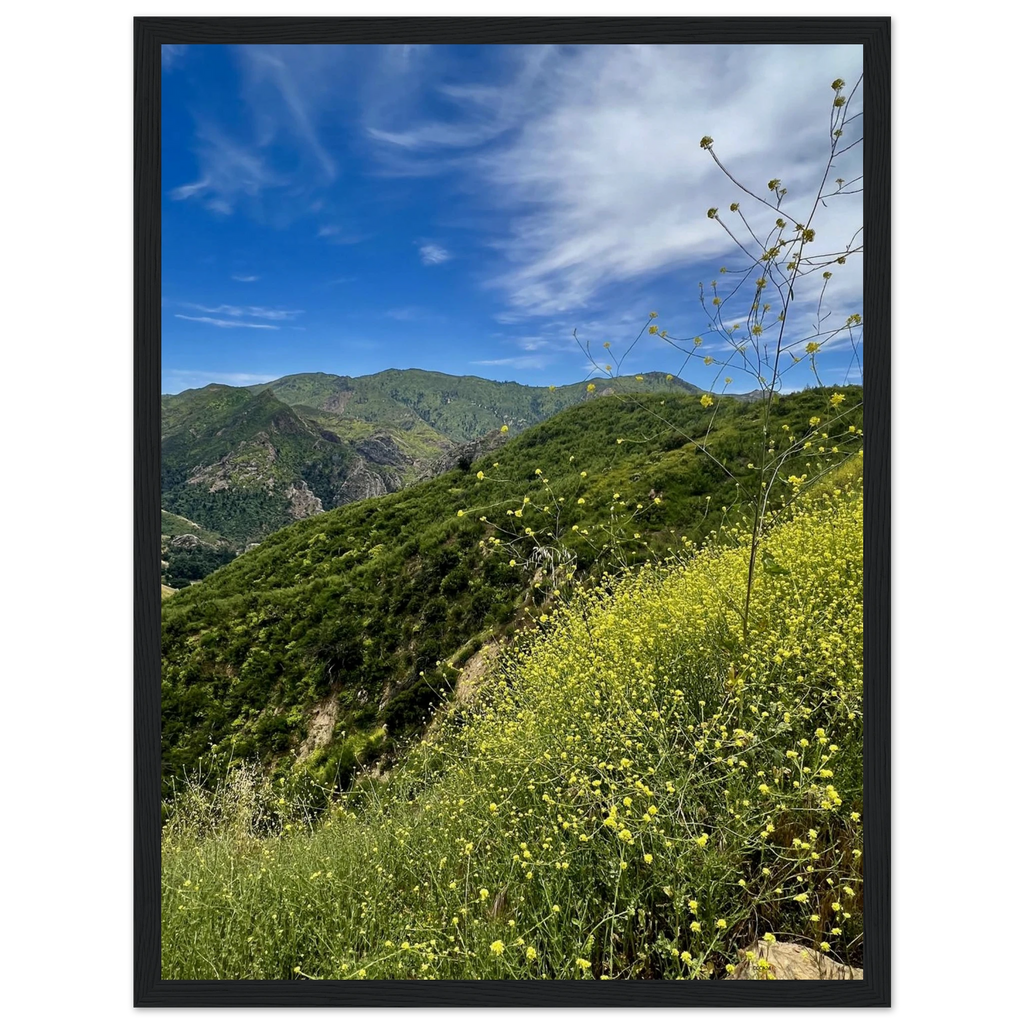 Malibu Canyon Wildflowers wooden framed poster on museum-quality matte paper wall art showcasing California native flowers.