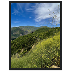 Malibu Canyon Wildflowers wooden framed poster on museum-quality matte paper wall art showcasing California native flowers.