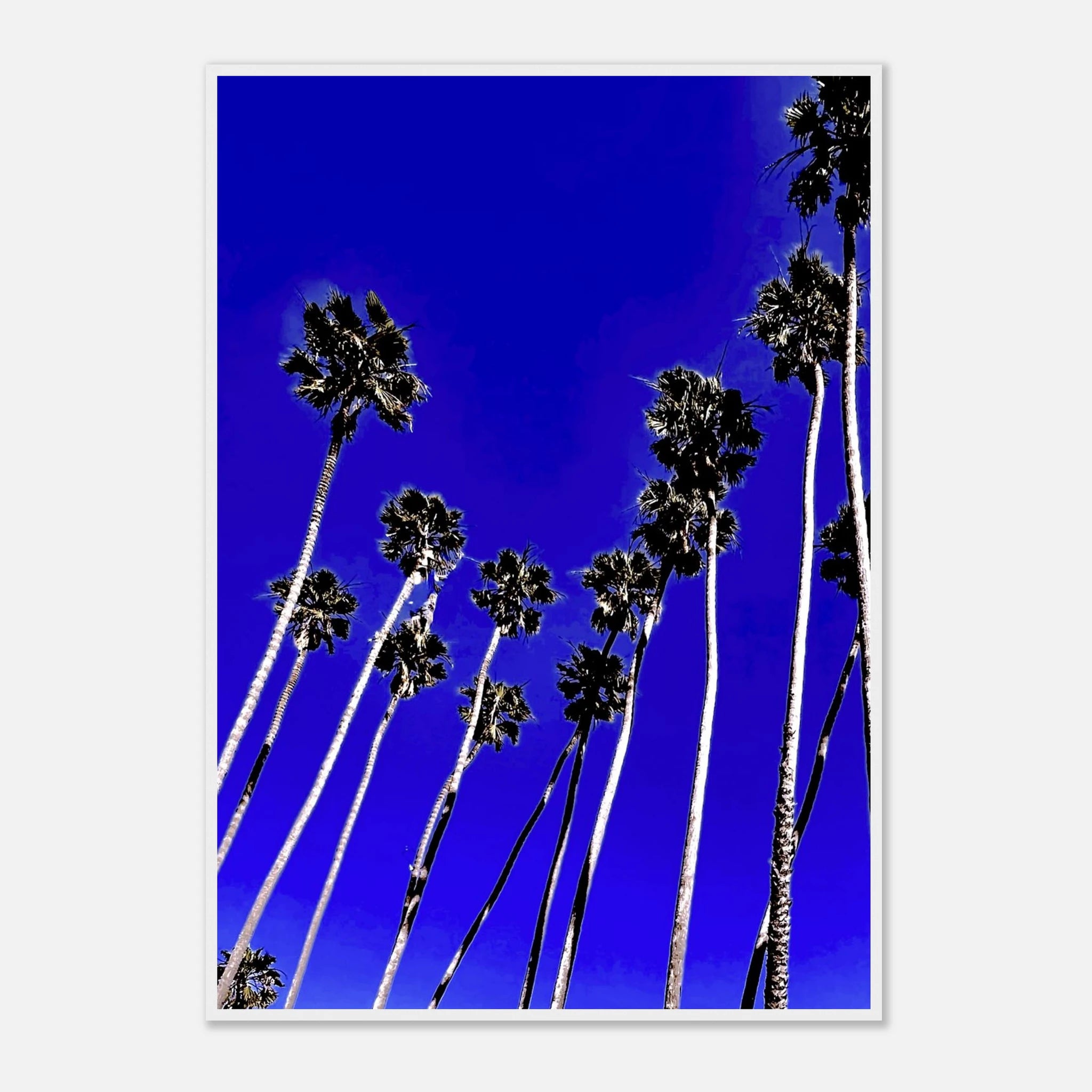 37c72572-3da0-4d3b-a2cc-de411a57840c