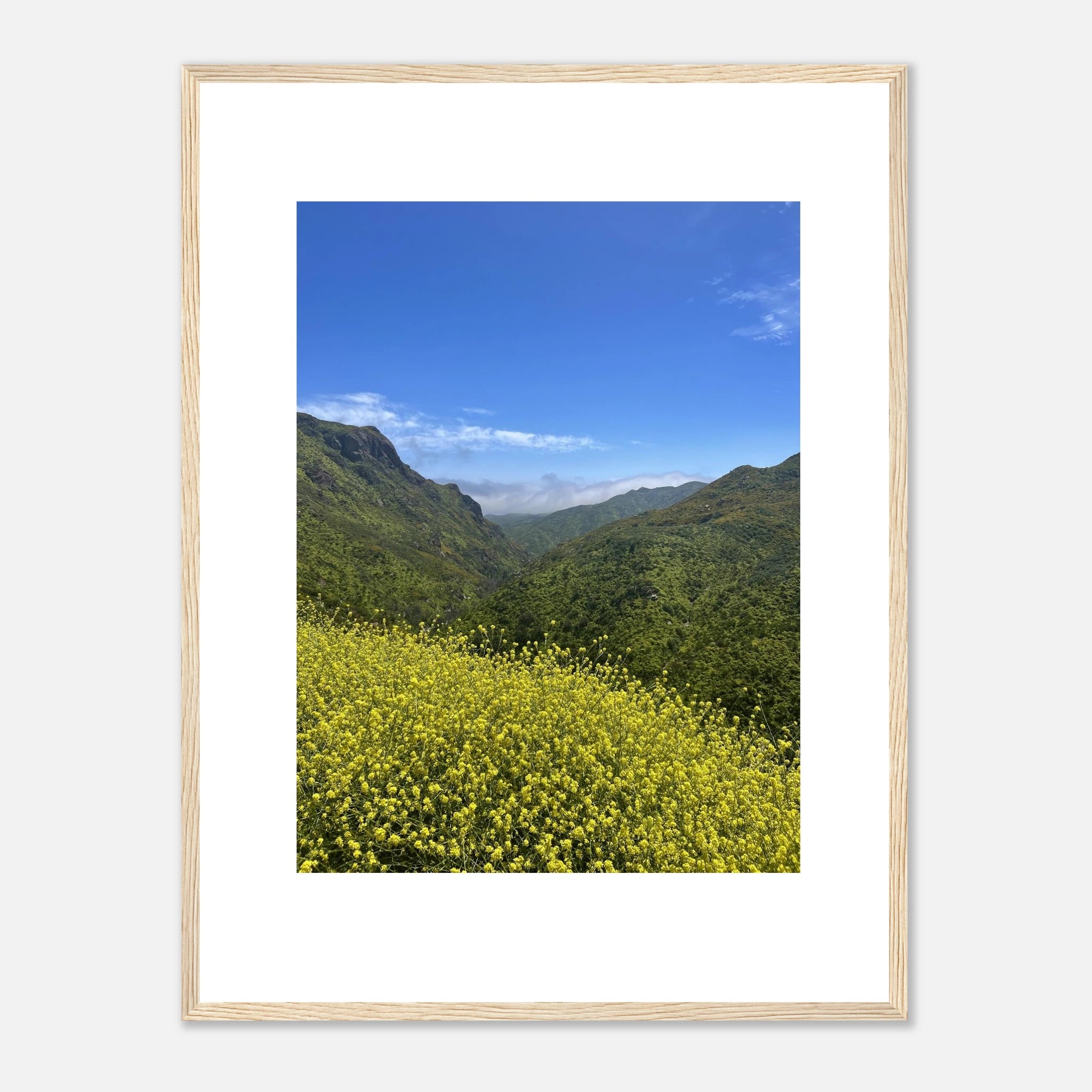 High-quality framed art print of Malibu Canyon in spring bloom wildflowers, featuring vibrant California landscape artwork.