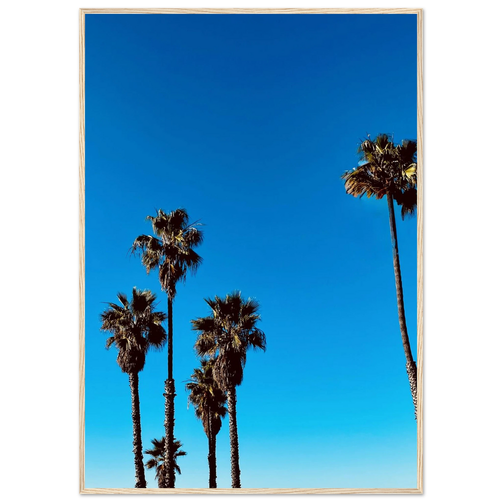 Santa Barbara Palm Tree poster by CaliCuration featuring California-themed home decor in a wooden frame on semi-glossy paper.