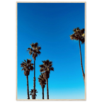 Santa Barbara Palm Tree poster by CaliCuration featuring California-themed home decor in a wooden frame on semi-glossy paper.