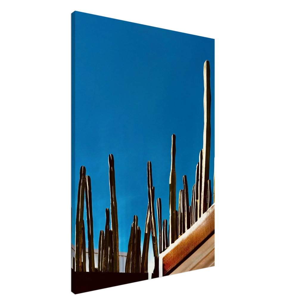 Mexico cactus family rooftop canvas artwork print from the Travel Collection Studio Edition Spring 26, showcasing vibrant desert scenery.