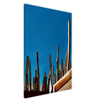 Mexico cactus family rooftop canvas artwork print from the Travel Collection Studio Edition Spring 26, showcasing vibrant desert scenery.