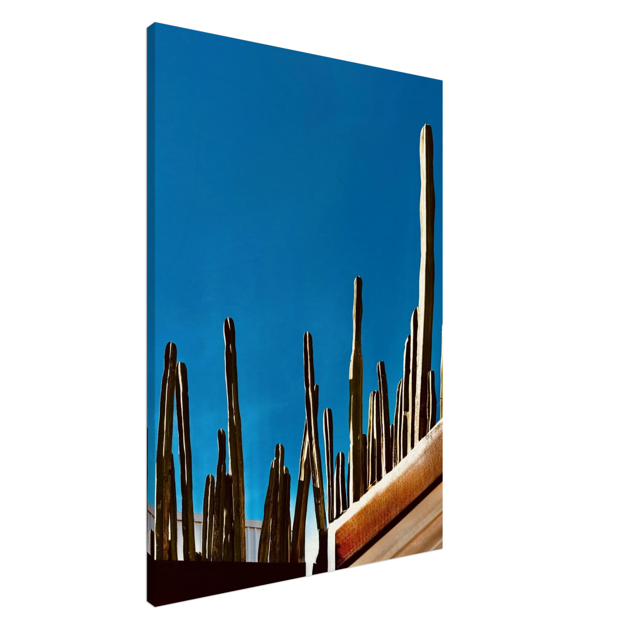 Mexico cactus family rooftop canvas artwork print from the Travel Collection Studio Edition Spring 26, showcasing vibrant desert scenery.