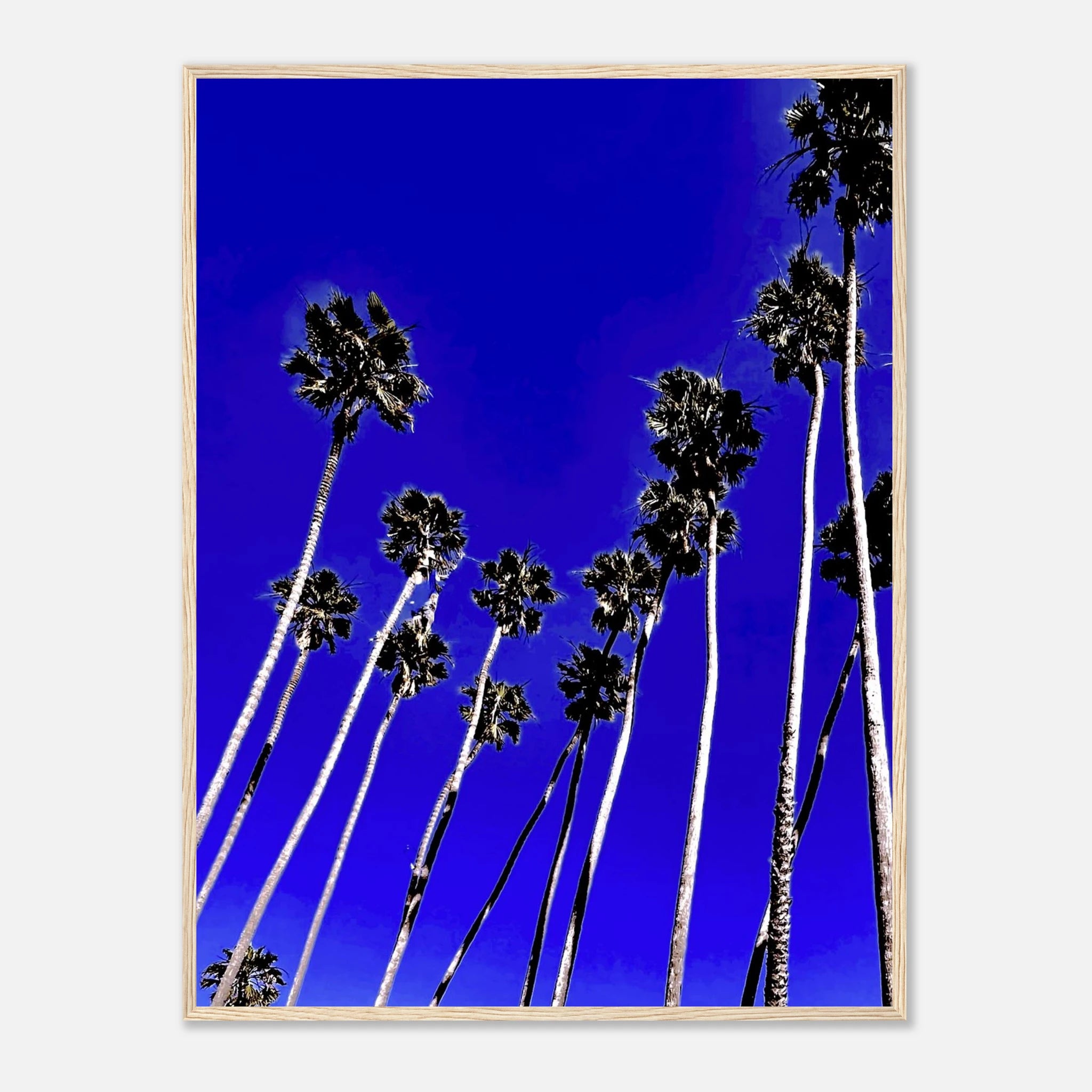 3bd8eed8-9253-4f72-8d20-d6e54e6d9203