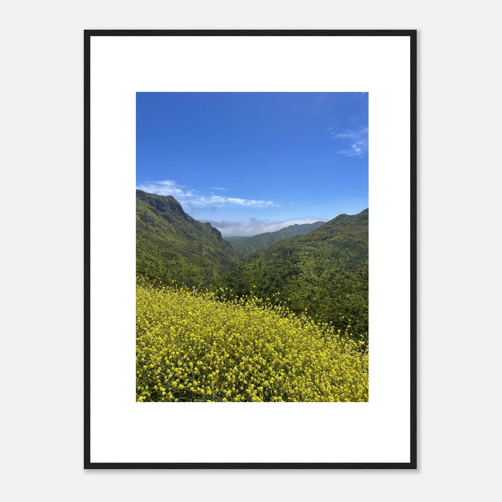 High-quality framed art print of Malibu Canyon in spring bloom wildflowers, California poster art by My Store.