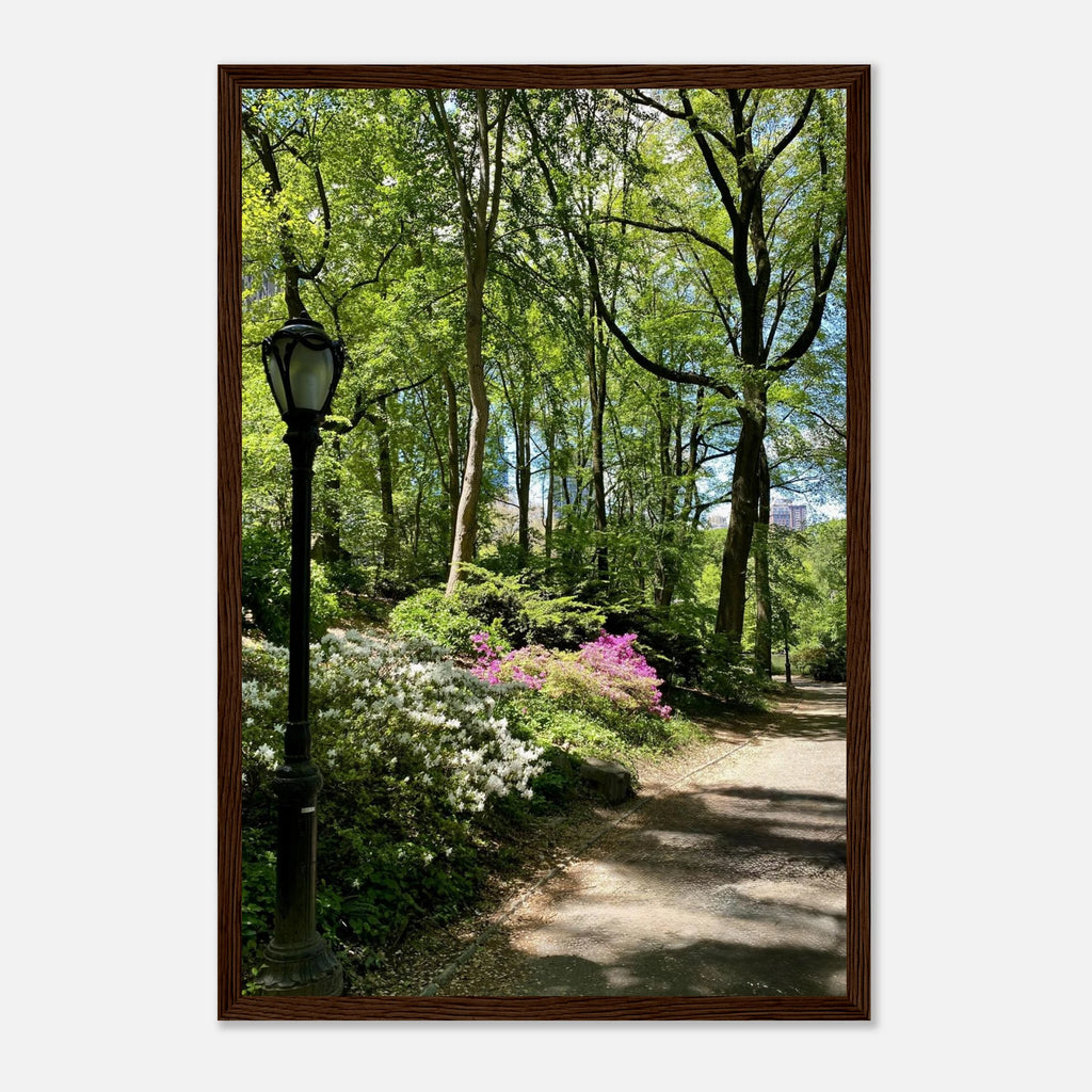 Framed print of Central Park walkway scene from Serene Stroll travel collection, on premium matte paper with wooden frame.