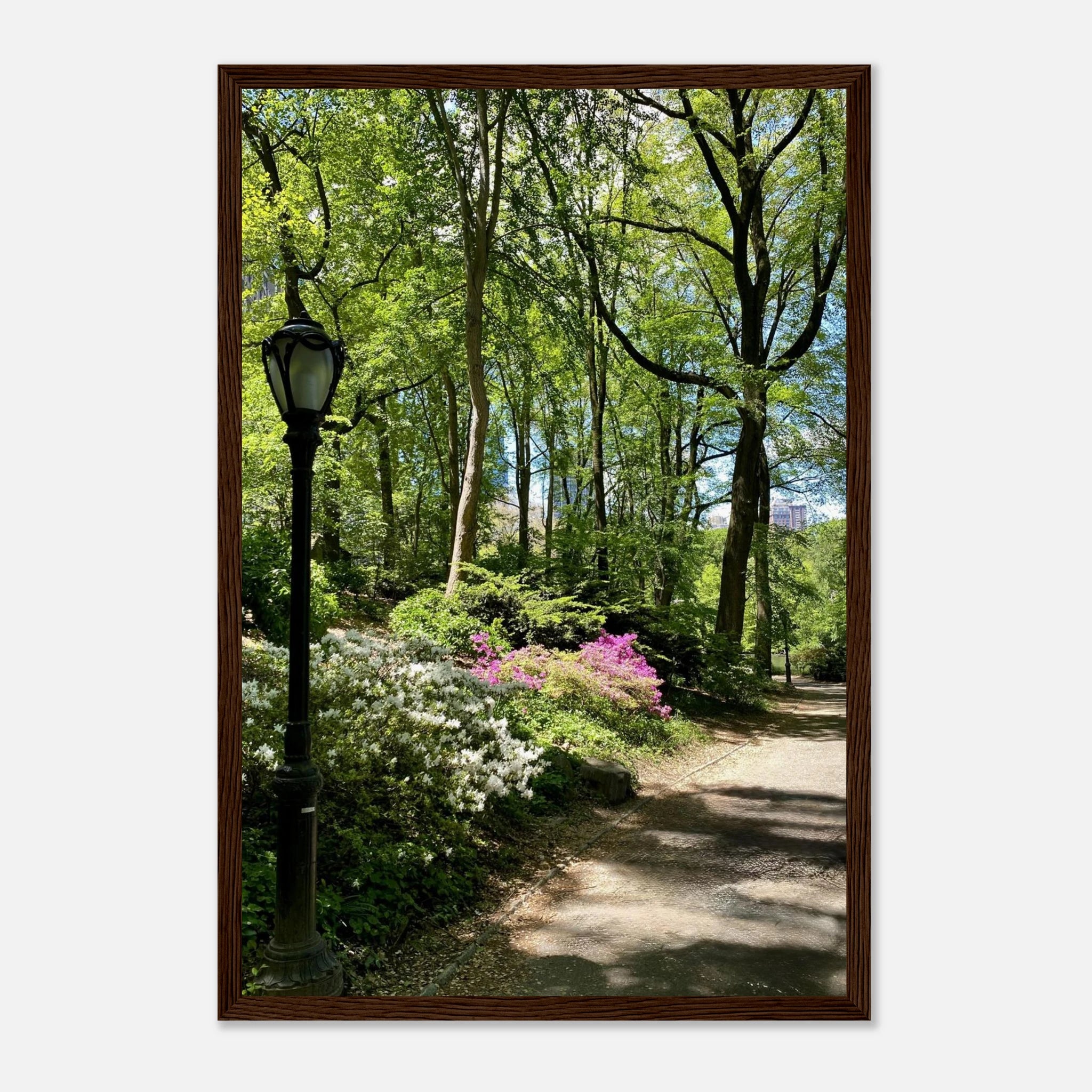 Framed print of Central Park walkway scene from Serene Stroll travel collection, on premium matte paper with wooden frame.
