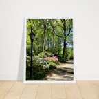 Central Park walkway framed art print on premium matte paper with wooden frame, part of the Studio Edition travel collection.