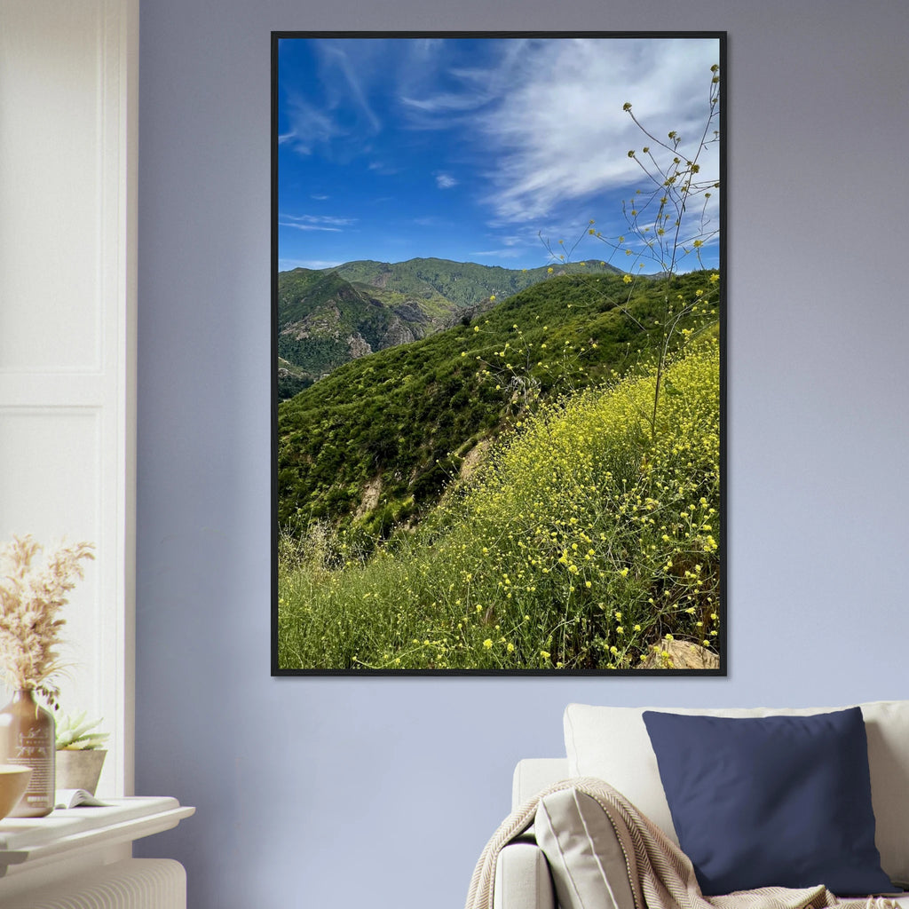 Malibu Canyon Wildflowers wall art print on museum-quality matte paper, framed wooden poster featuring California wildflower scene.