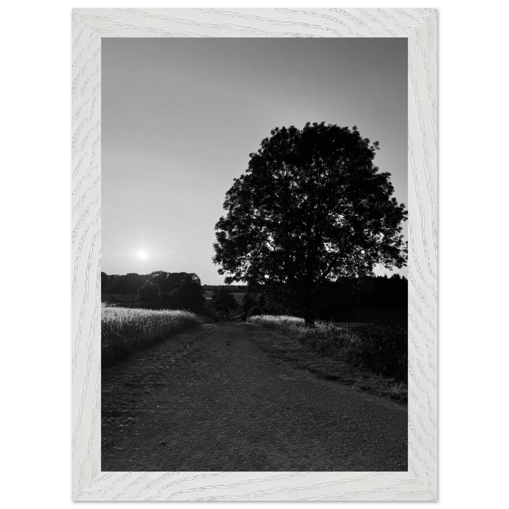Black and white mounted wooden framed poster of summer in the English Cotswolds from the My Store travel collection.